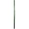 Ekena Millwork Milton Ceiling Medallion (Fits Canopies up to 7 7/8"), 40 5/8"OD x 1 3/4"P, Athenian Green CM40MIAGF - alternate 4